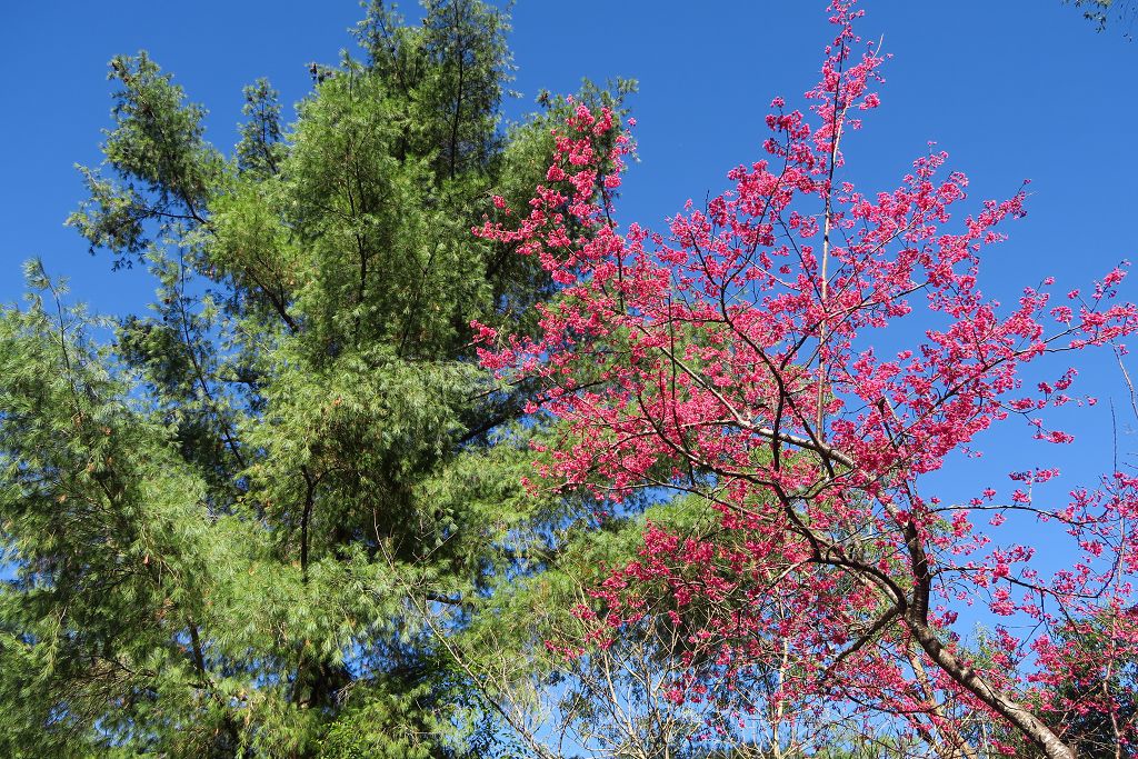 IMG_2089.jpg IMG_2089.jpg