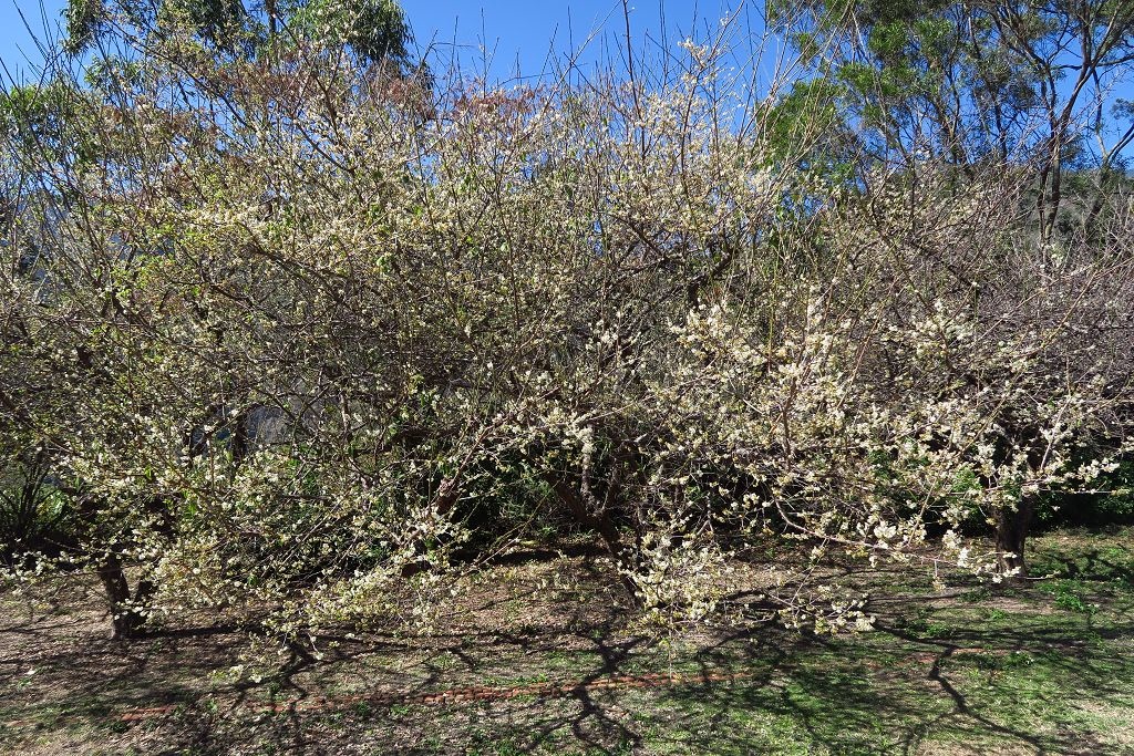 IMG_2098.jpg IMG_2098.jpg