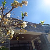 IMG_2108.jpg IMG_2108.jpg