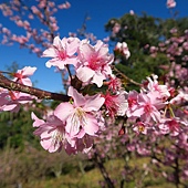 IMG_2142.jpg IMG_2142.jpg