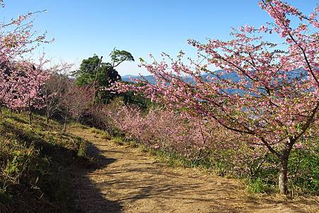 IMG_2172.jpg IMG_2172.jpg