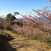 IMG_2172.jpg IMG_2172.jpg