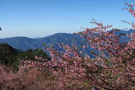 IMG_2164.jpg IMG_2164.jpg