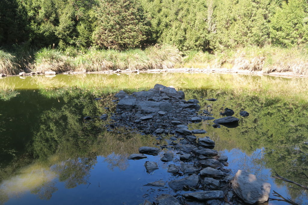 IMG_2068.JPG IMG_2068.JPG