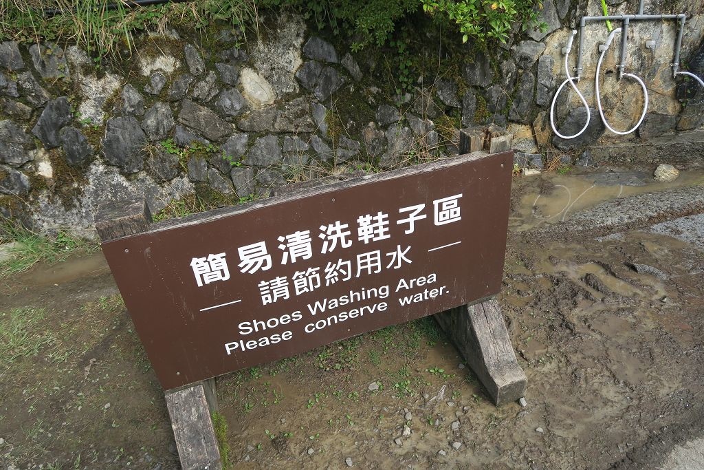 圖 太平山山毛櫸步道難得晴天秋色