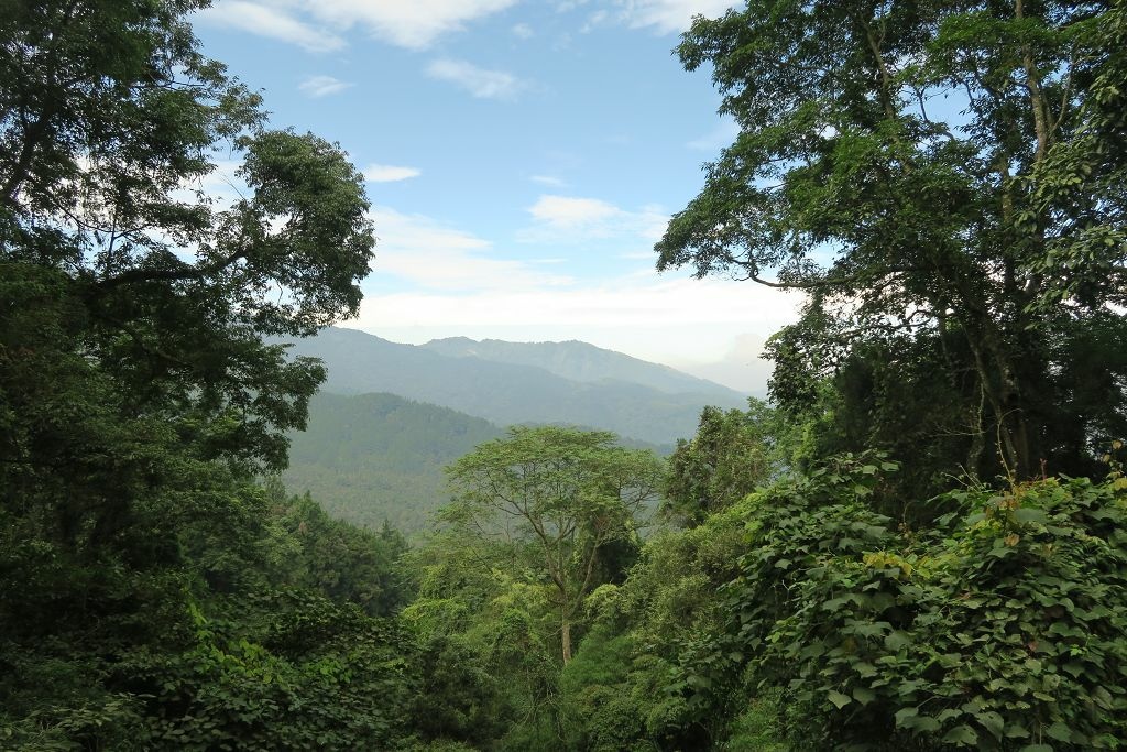 南投--鹿谷 溪頭二十公里大爆走(上)賞鳥登山步道、天文台、