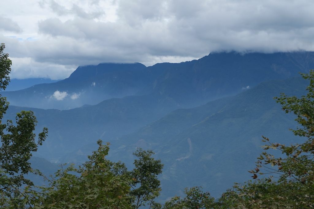 南投--鹿谷 溪頭二十公里大爆走(上)賞鳥登山步道、天文台、