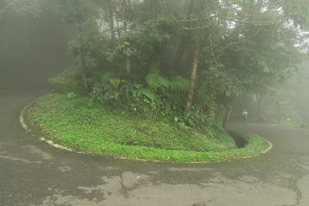 南投--鹿谷 溪頭二十公里大爆走(上)賞鳥登山步道、天文台、