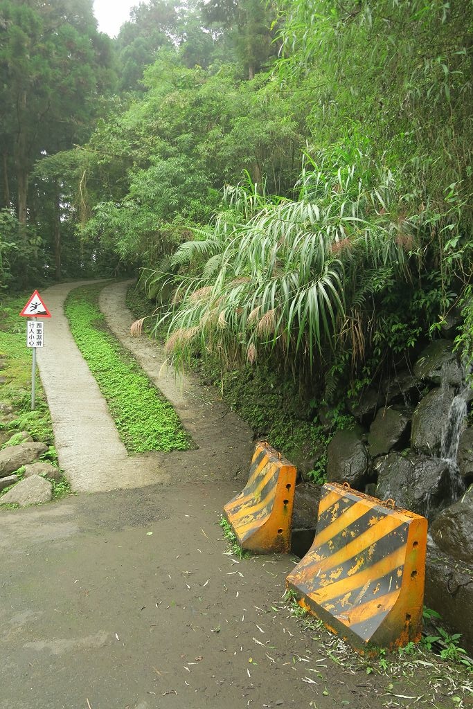 南投--鹿谷 溪頭二十公里大爆走(上)賞鳥登山步道、天文台、