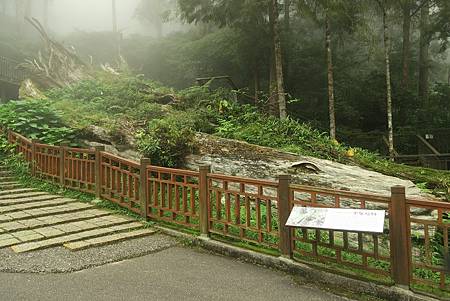 南投--鹿谷 溪頭二十公里大爆走(上)賞鳥登山步道、天文台、