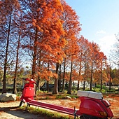 新竹--尖石  玉峰村追殘楓(美樹營地、玉峰大橋)