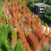 新竹--尖石  很親切的望山民宿住宿