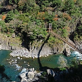 新竹--尖石  玉峰村追殘楓(美樹營地、玉峰大橋)