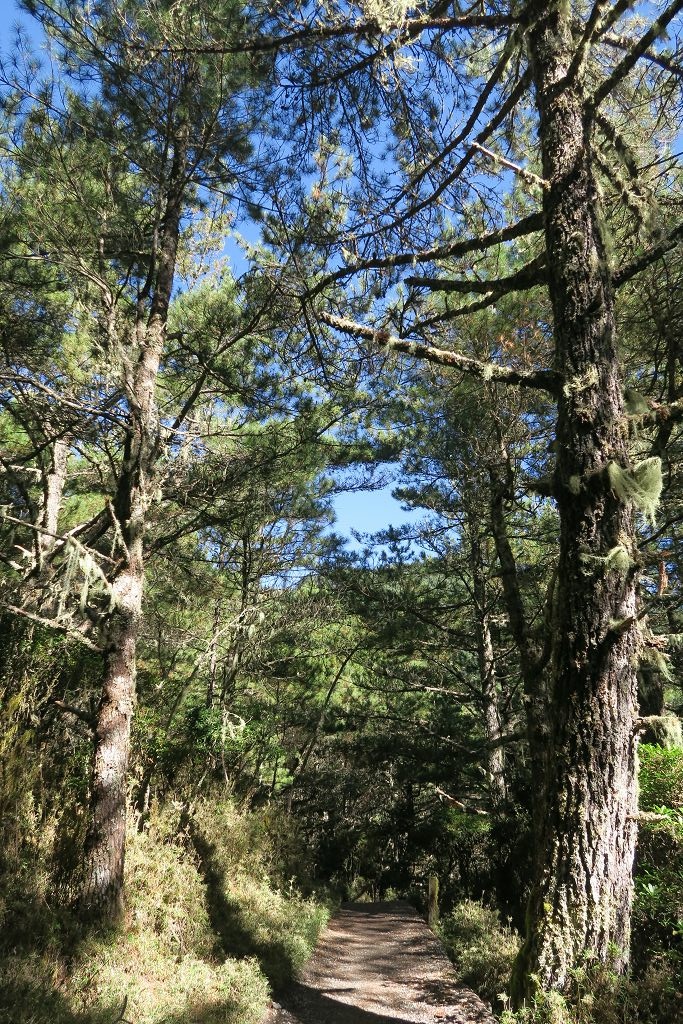 天使的眼淚嘉明湖DAY1(向陽工作站、向陽山、嘉明湖山屋)