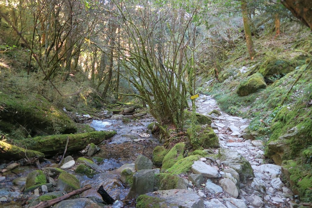 天使的眼淚嘉明湖DAY1(向陽工作站、向陽山、嘉明湖山屋)