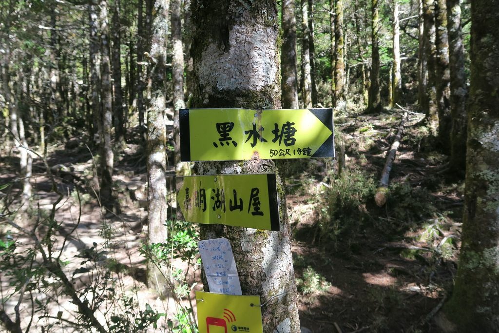 天使的眼淚嘉明湖DAY1(向陽工作站、向陽山、嘉明湖山屋)