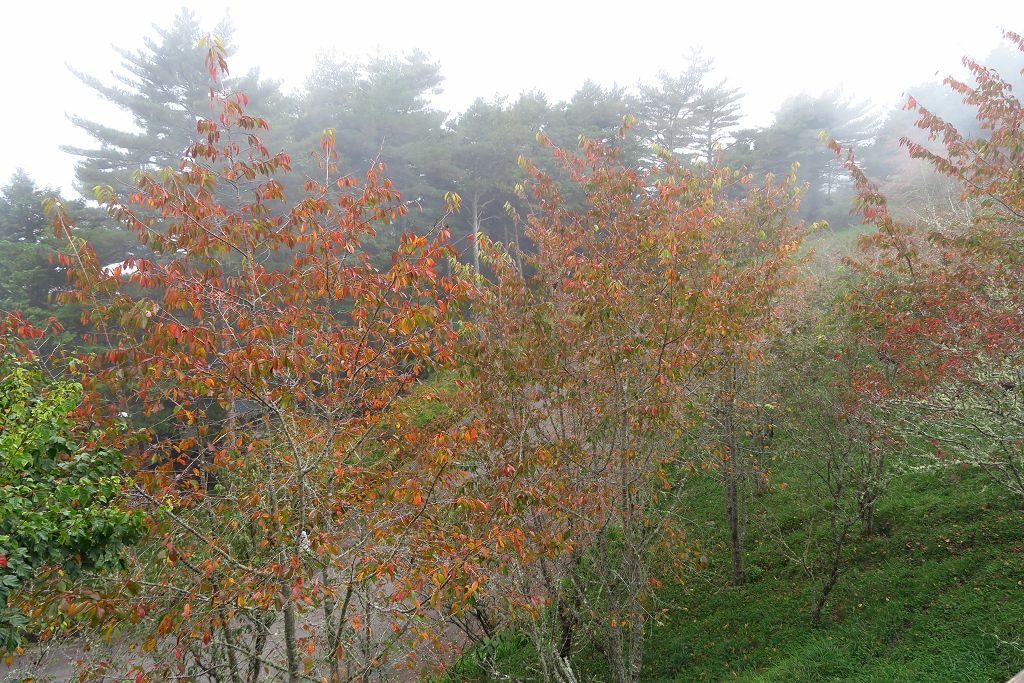 天使的眼淚嘉明湖DAY2(嘉明湖、三叉山)