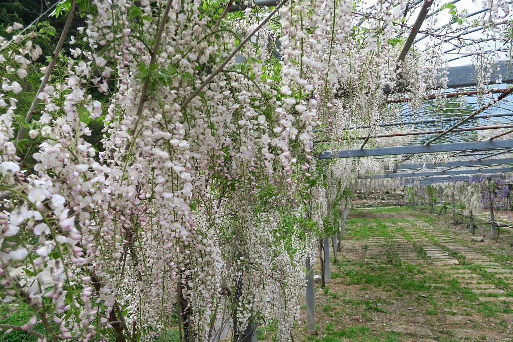 台北宜蘭龜山島與登雪主東峰共四日遊