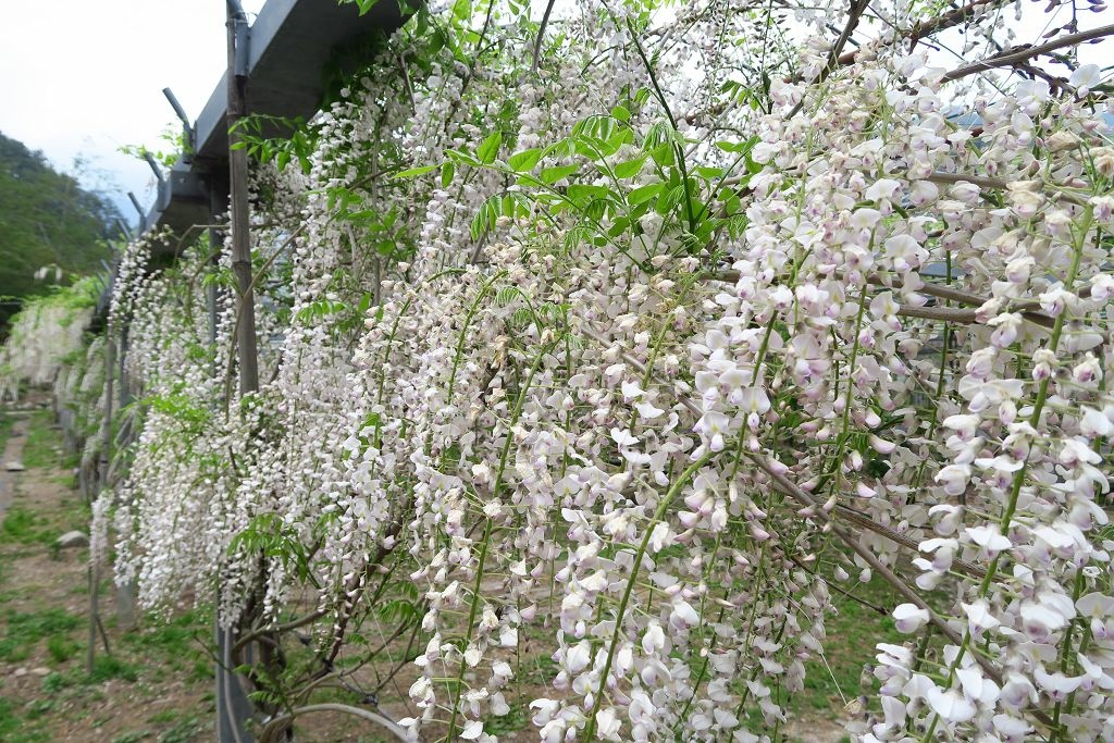 台北宜蘭龜山島與登雪主東峰共四日遊