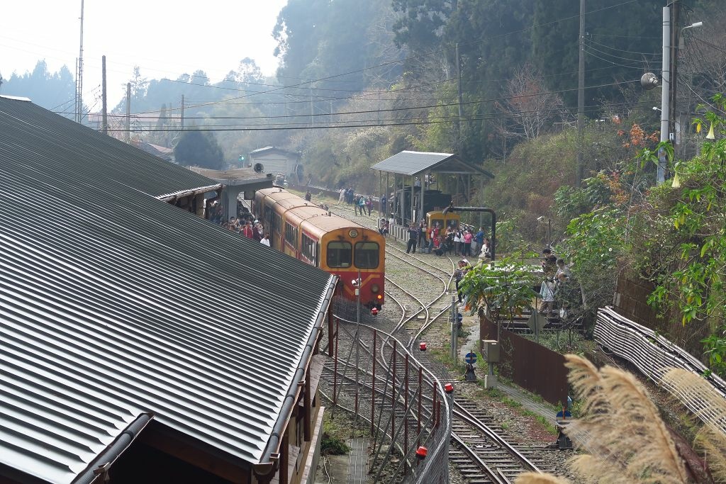 嘉義--竹崎 奮起湖車站、懷舊鐵路便當