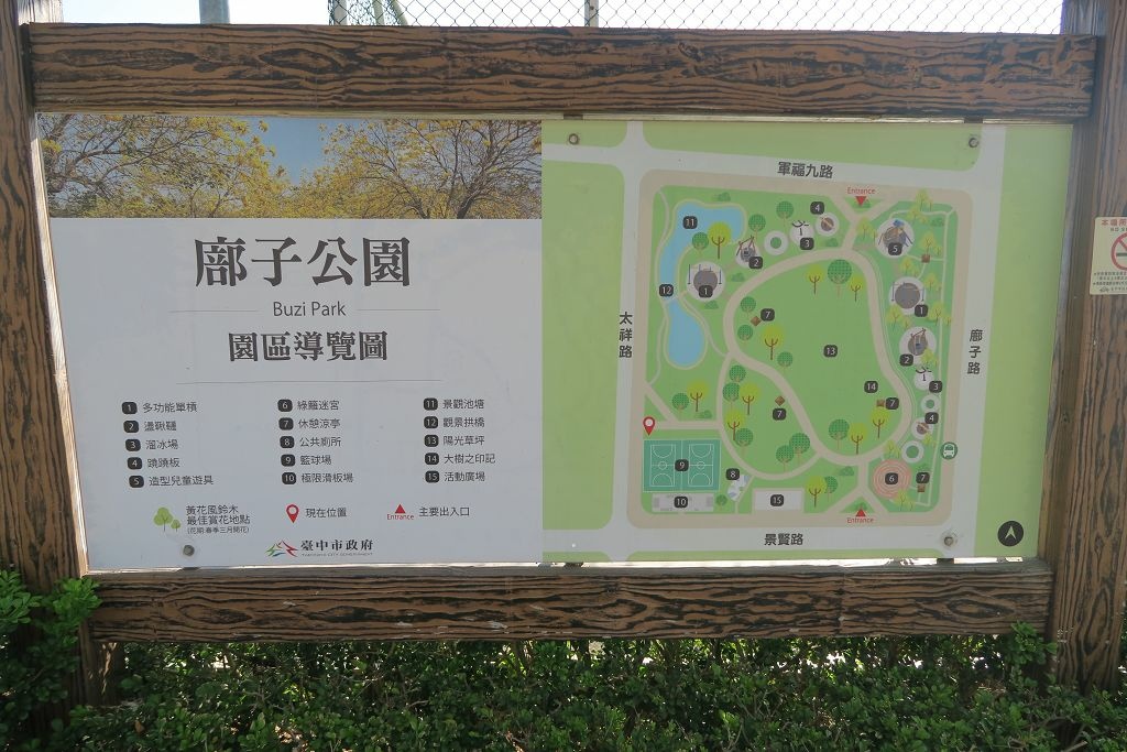 台中--北屯  黃花風鈴木尚未滿開的廍子公園