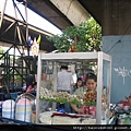 2008thailand 299.jpg