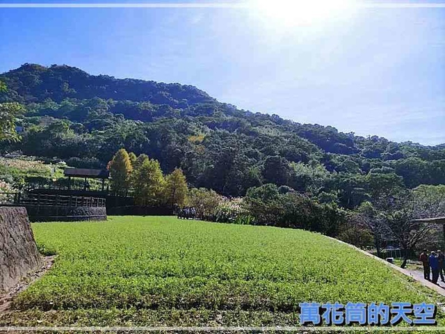 萬花筒的天空066貓空.jpg - 20221220台北木柵貓空光羽盬