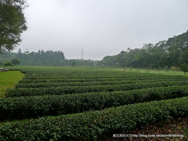 [桃園]壹等賞花園餐廳(原:壹等賞觀景茶園)