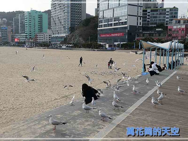 萬花筒的天空133釜山三.jpg - 20200124韓國釜山松島跨海纜車