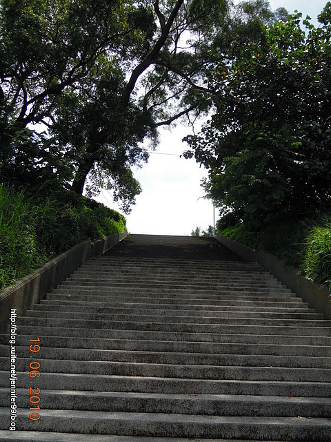 DSCN5553.JPG - 20100619桃園午茶去~不成