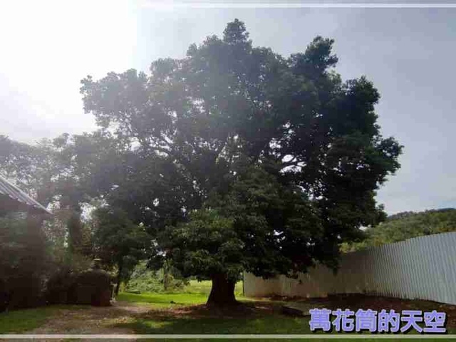 萬花筒的天空59雲夢山丘.jpg - 20220618新竹新埔雲夢山丘