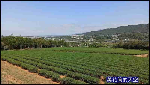 萬花筒25銅鑼茶廠.jpg - 20201019苗栗銅鑼茶廠