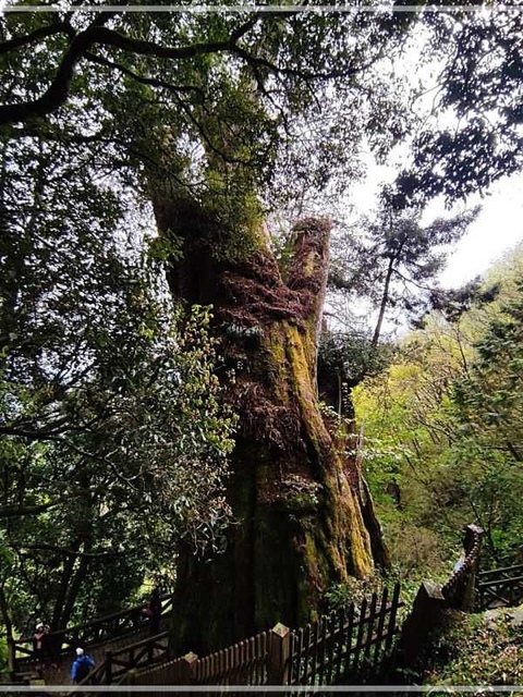 萬花筒的天空03阿里山Z.jpg - 20220321南投信義鄉玉山塔塔加日出