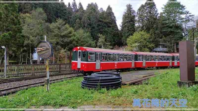 萬花筒的天空107阿里山B.jpg - 20220321嘉義阿里山森林遊樂園區櫻花