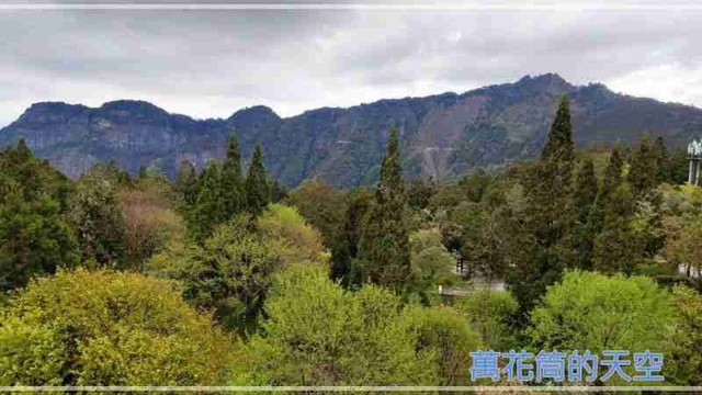 萬花筒的天空114阿里山B.jpg - 20220321嘉義阿里山森林遊樂園區櫻花