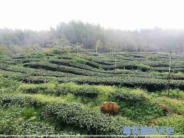 萬花筒的天空24石棹.jpg - 20220320嘉義阿里山石棹