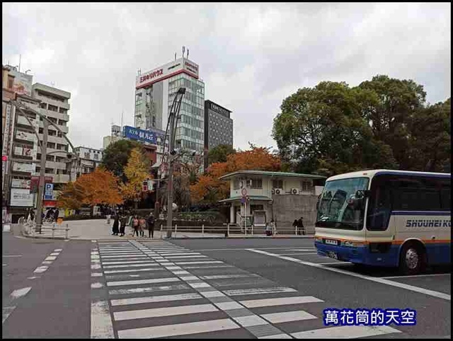 萬花筒8東京5.jpg - 20191213日本東京賞楓輕旅第五天