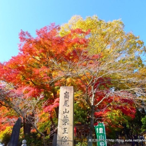 相簿封面 - 20121116東京高尾山多彩楓紅