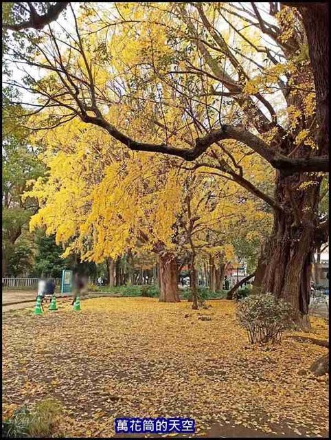 萬花筒14A東京三.jpg - 20191211日本東京賞楓輕旅第三日