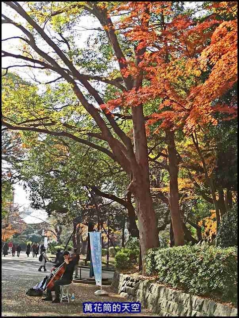 萬花筒36A東京三.jpg - 20191211日本東京上野恩賜公園うえのおんしこうえん賞楓