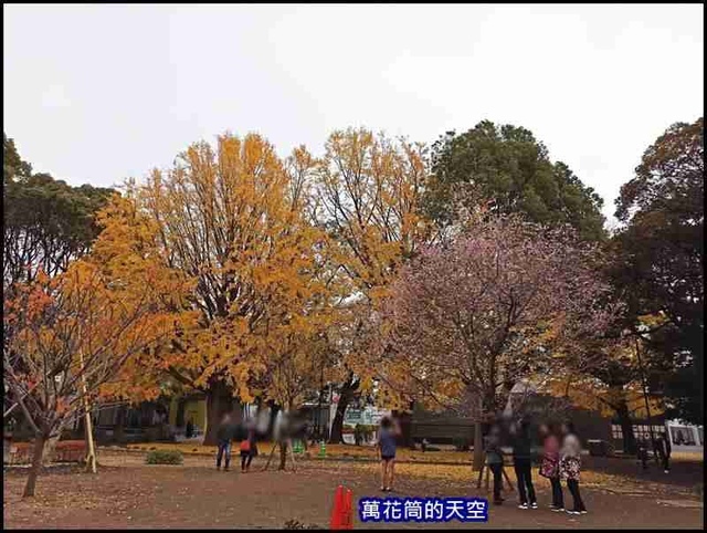 萬花筒17A東京三.jpg - 20191211日本東京上野恩賜公園うえのおんしこうえん賞楓