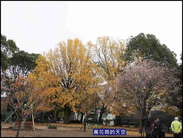 萬花筒9東京三.jpg - 20191211日本東京上野恩賜公園うえのおんしこうえん賞楓