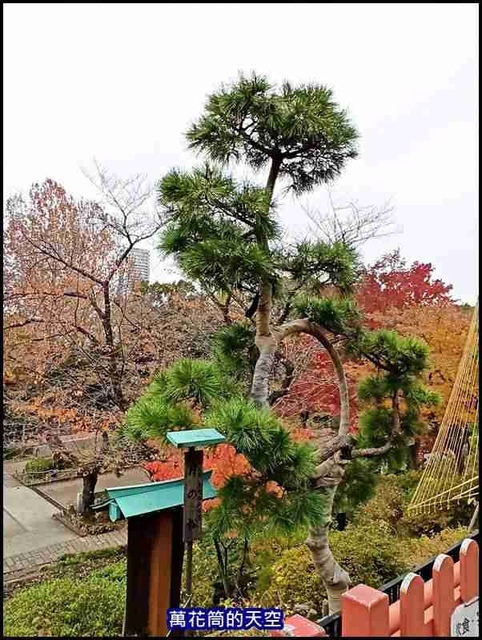 萬花筒27A東京三.jpg - 20191211日本東京上野恩賜公園うえのおんしこうえん賞楓