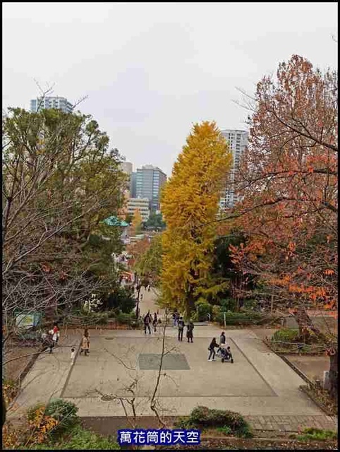 萬花筒28A東京三.jpg - 20191211日本東京上野恩賜公園うえのおんしこうえん賞楓