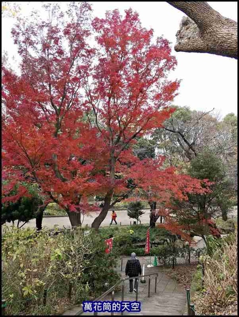 萬花筒30東京三.jpg - 20191211日本東京上野恩賜公園うえのおんしこうえん賞楓