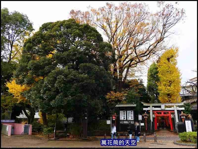 萬花筒40東京三.jpg - 20191211日本東京上野恩賜公園うえのおんしこうえん賞楓