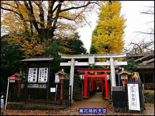 萬花筒43東京三.jpg - 20191211日本東京上野恩賜公園うえのおんしこうえん賞楓