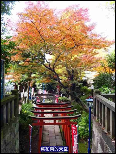 萬花筒50東京三.jpg - 20191211日本東京上野恩賜公園うえのおんしこうえん賞楓