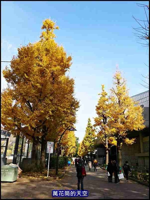 萬花筒59東京三.jpg - 20191211日本東京上野恩賜公園うえのおんしこうえん賞楓