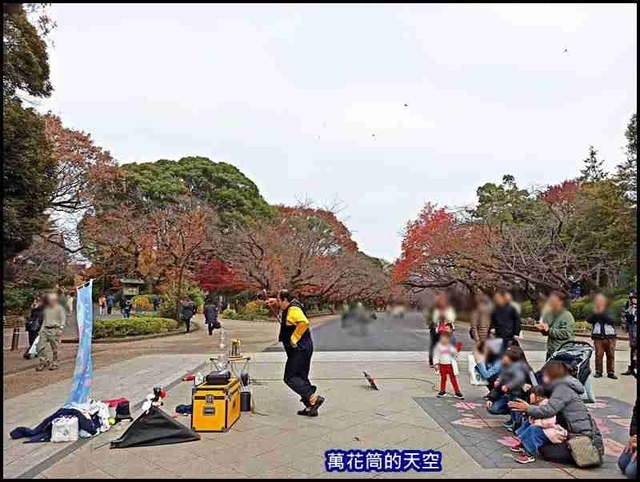 萬花筒33A東京三.jpg - 20191211日本東京上野恩賜公園うえのおんしこうえん賞楓